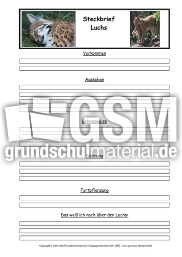 Luchs-Steckbriefvorlage.pdf